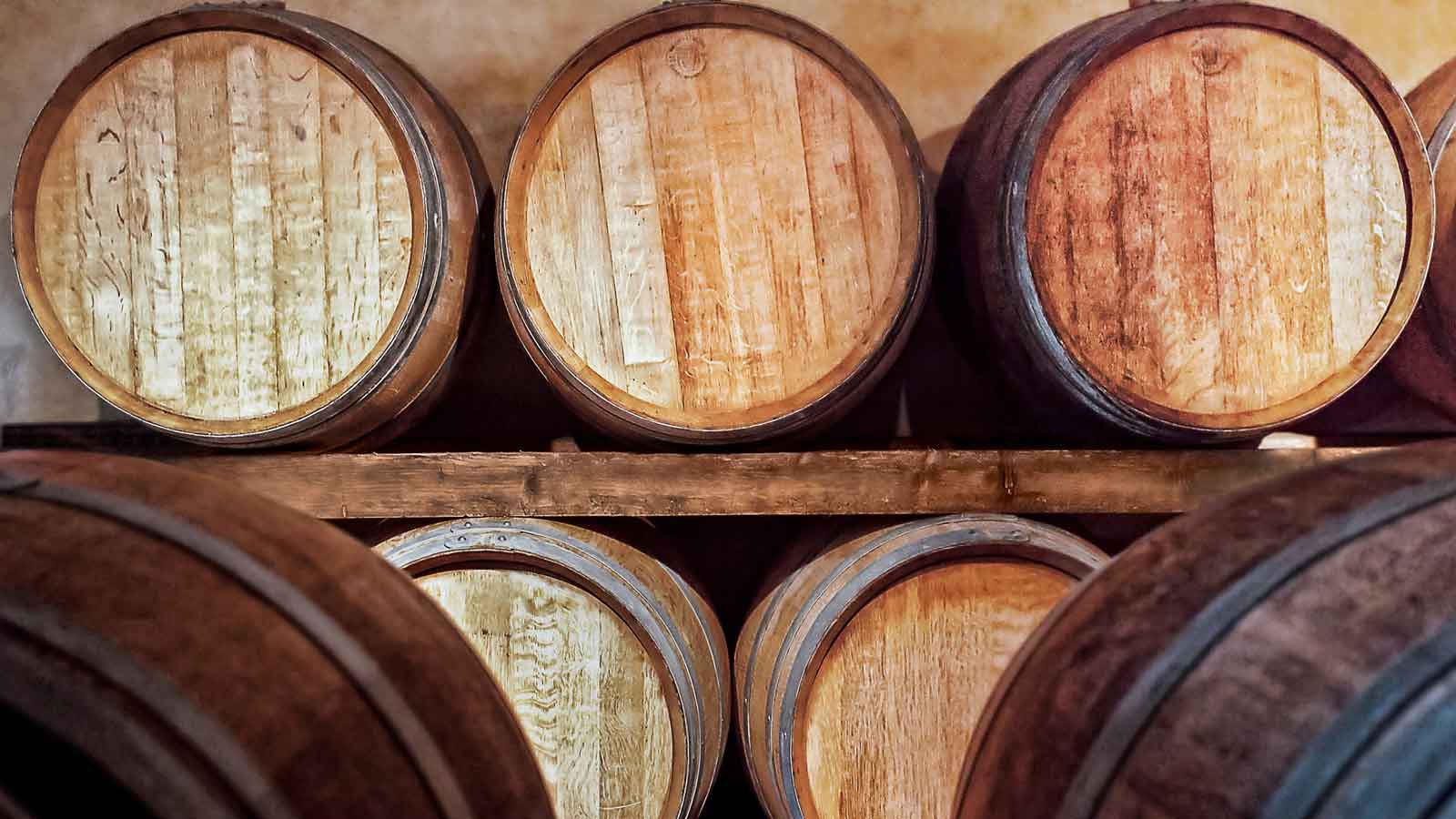 bodegas